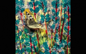 Fehér holló No. 3 (Anne Mette Iversen Quartet + 1: Racing a Butterfly)